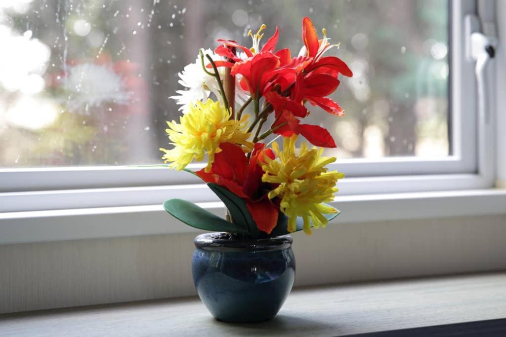 Edinburgh - Seton Sands-Cameo Caravan-Pet Friendly Eksteriør bilde